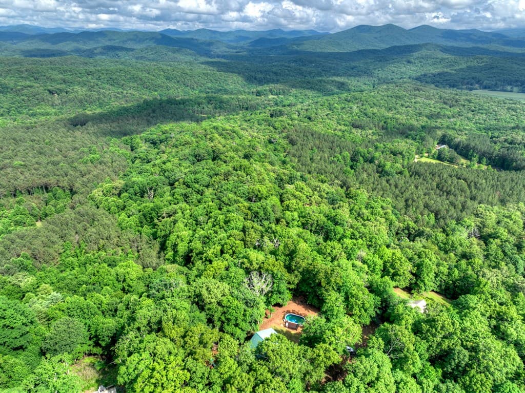 782 Scenic Mountain View Road, Blue Ridge GA 30513 - Photo