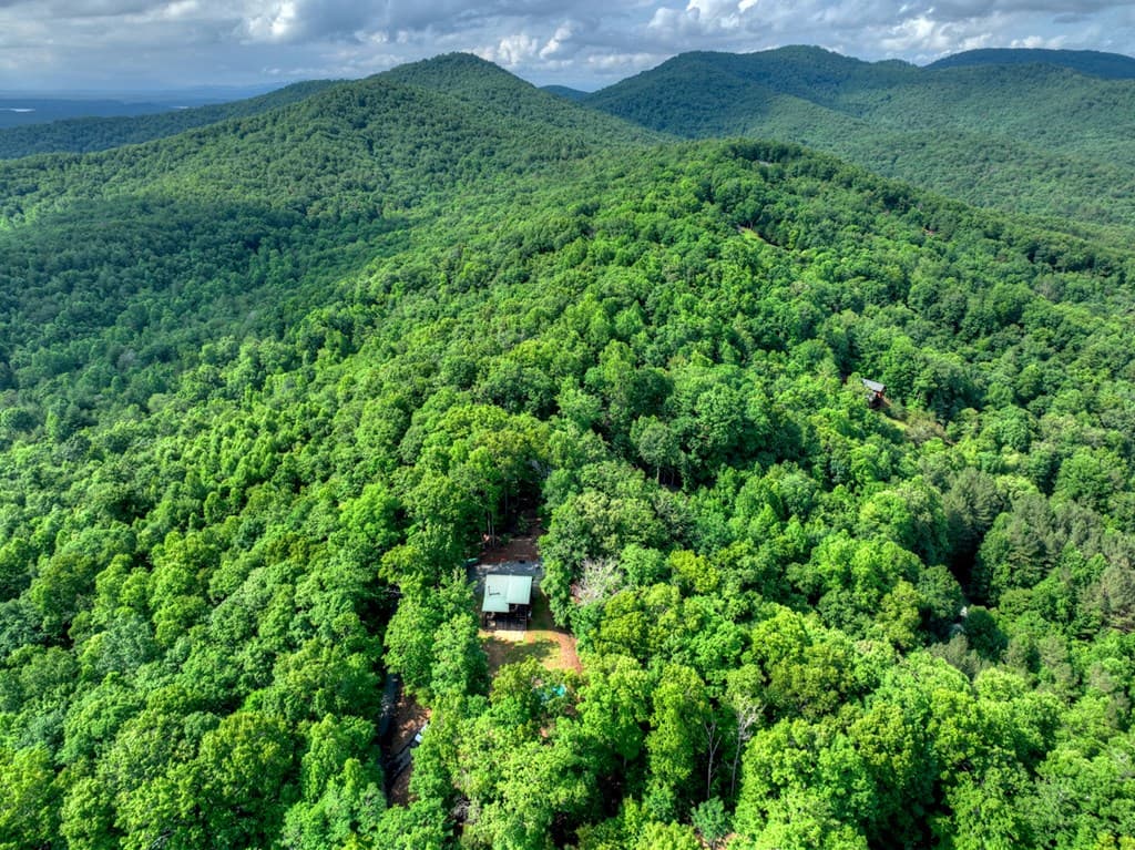 782 Scenic Mountain View Road, Blue Ridge GA 30513 - Photo