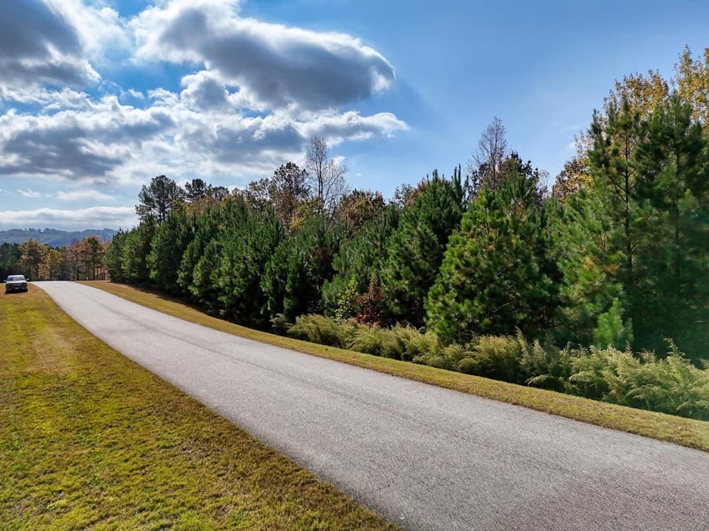 lot 43 Water Oak Lane, Blairsville GA 30512 - Photo