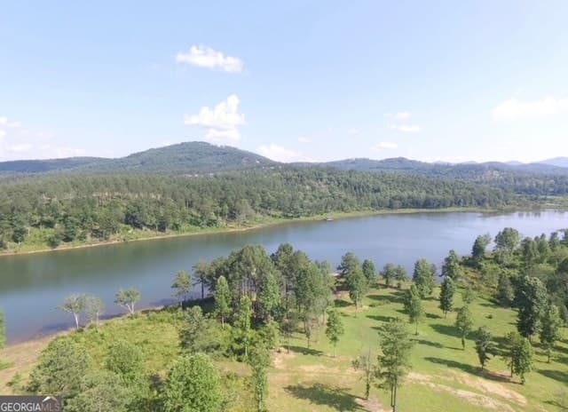lot 43 Water Oak Lane, Blairsville GA 30512 - Photo