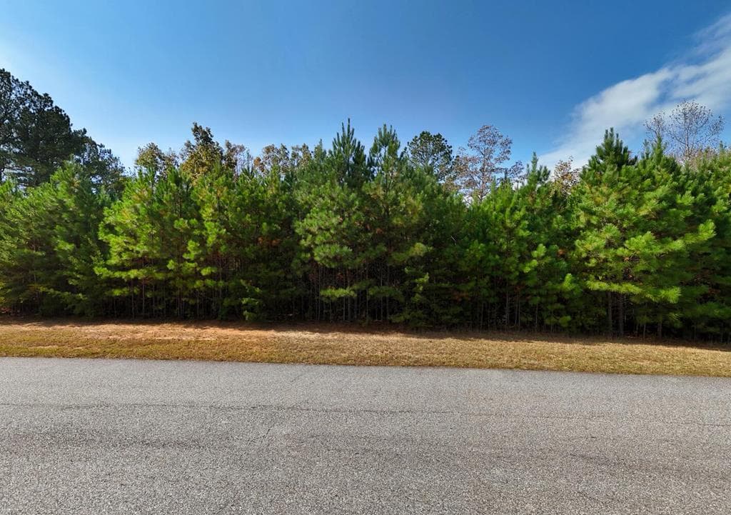 lot 43 Water Oak Lane, Blairsville GA 30512 - Primary photo