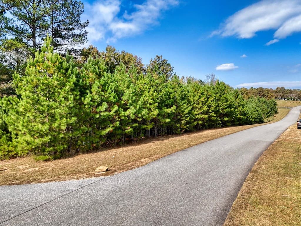 lot 43 Water Oak Lane, Blairsville GA 30512 - Photo