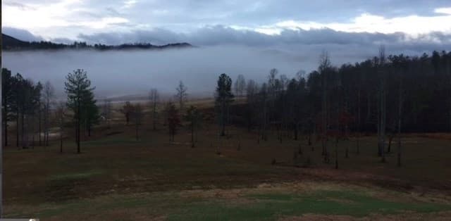 lot 43 Water Oak Lane, Blairsville GA 30512 - Photo