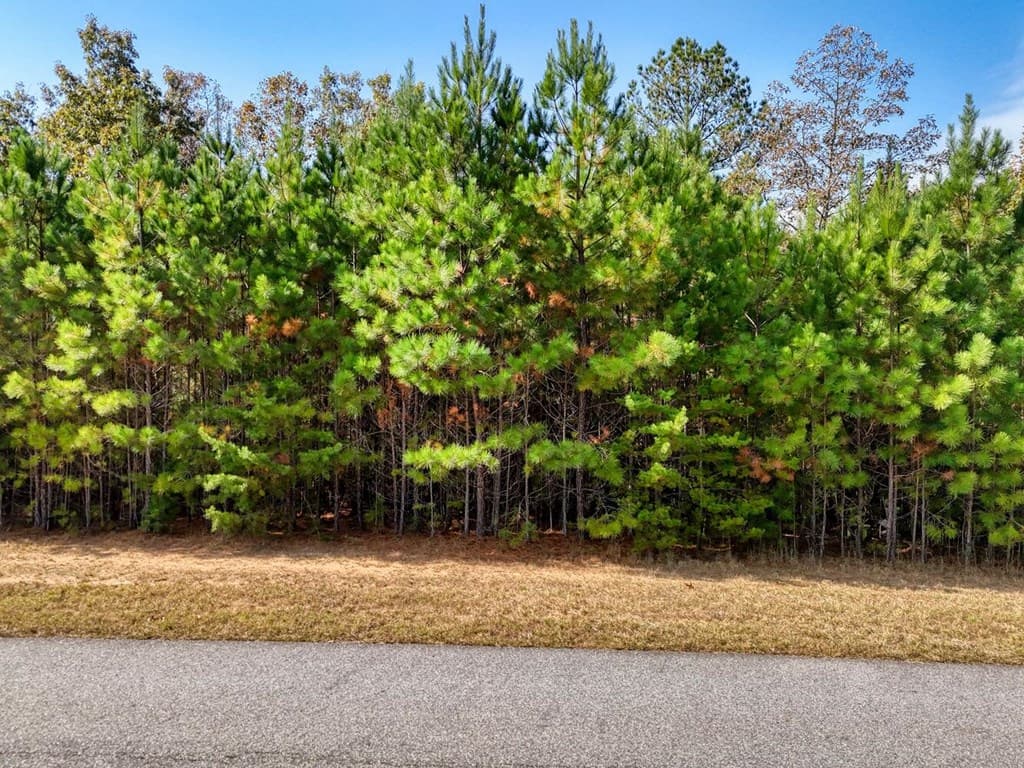 lot 43 Water Oak Lane, Blairsville GA 30512 - Photo