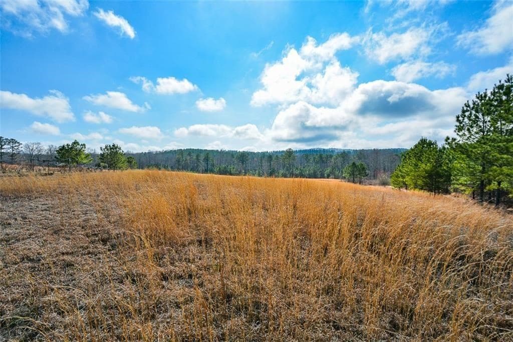 119 Inland Drive, Talking Rock GA 30175 - Photo