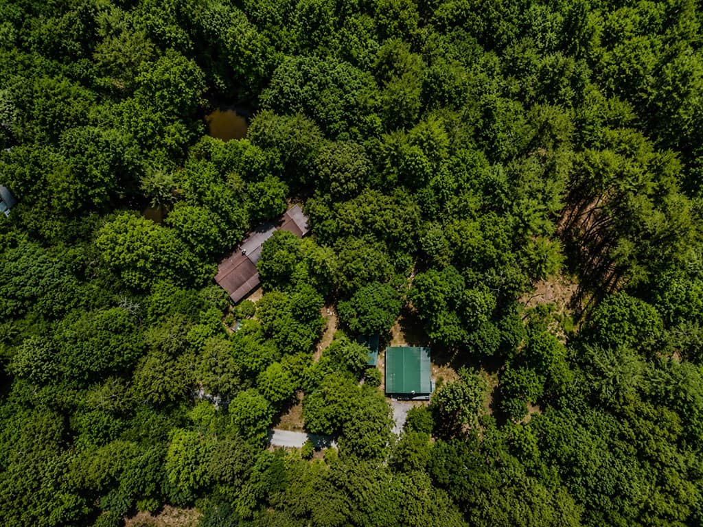 111 Laurel Trail, Blue Ridge GA 30513 - Photo