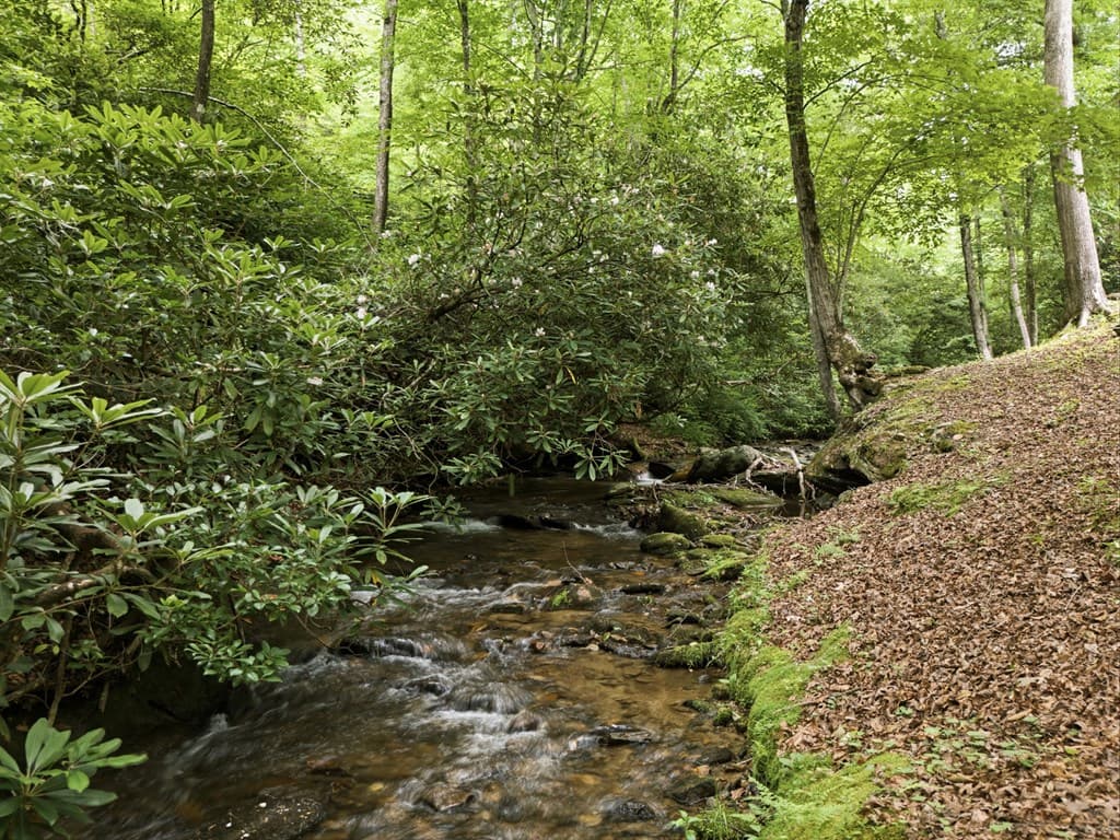 86 Pounding Mill Creek, Hayesville NC 28904 - Photo