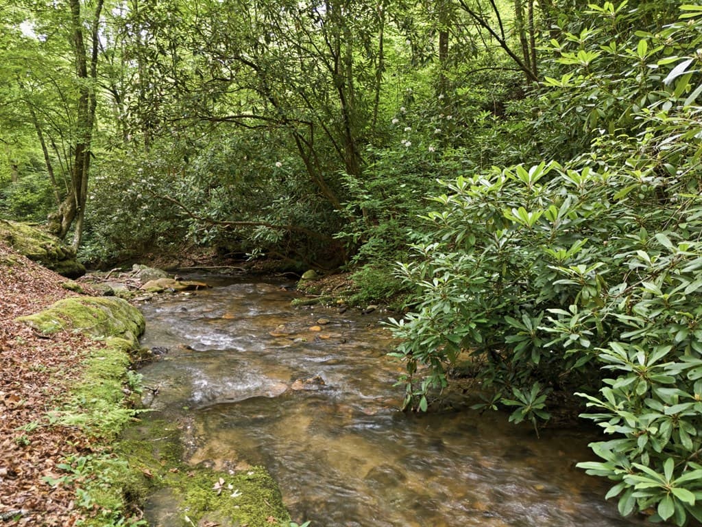 86 Pounding Mill Creek, Hayesville NC 28904 - Photo