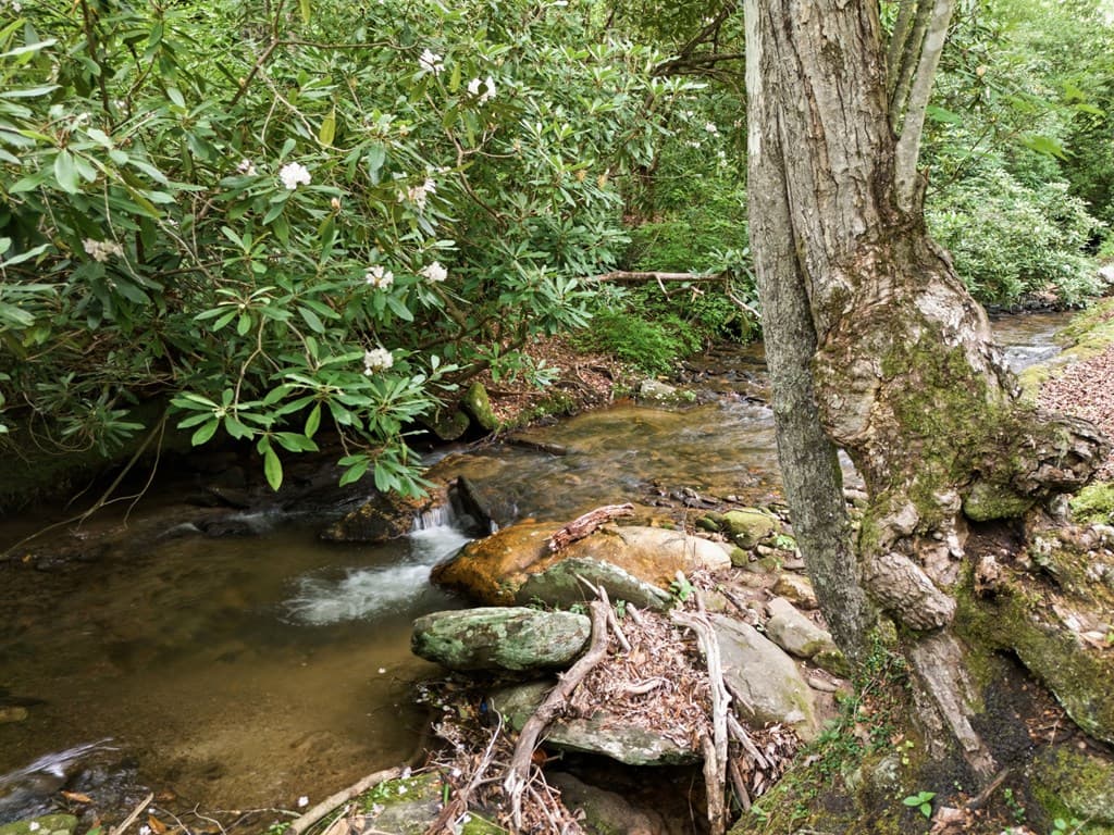 86 Pounding Mill Creek, Hayesville NC 28904 - Photo