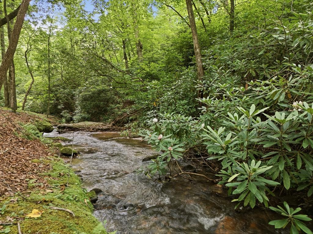 86 Pounding Mill Creek, Hayesville NC 28904 - Primary photo