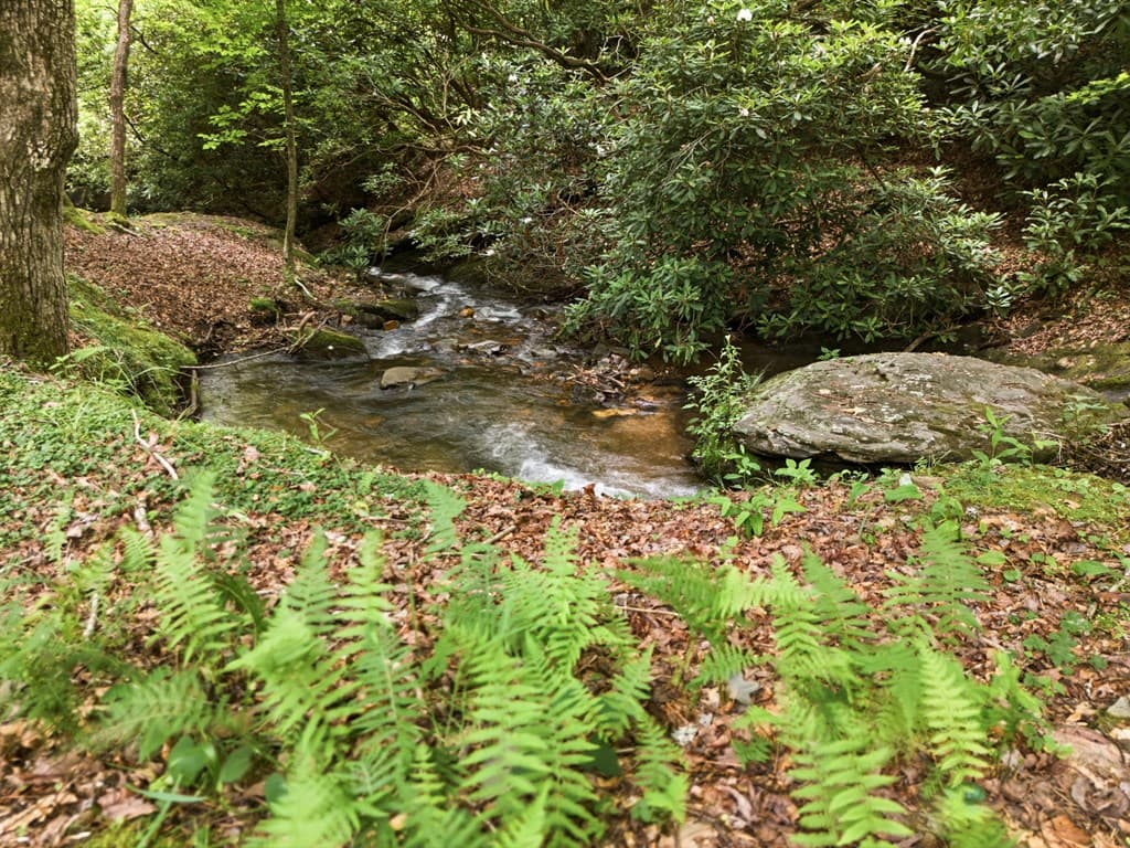 86 Pounding Mill Creek, Hayesville NC 28904 - Photo