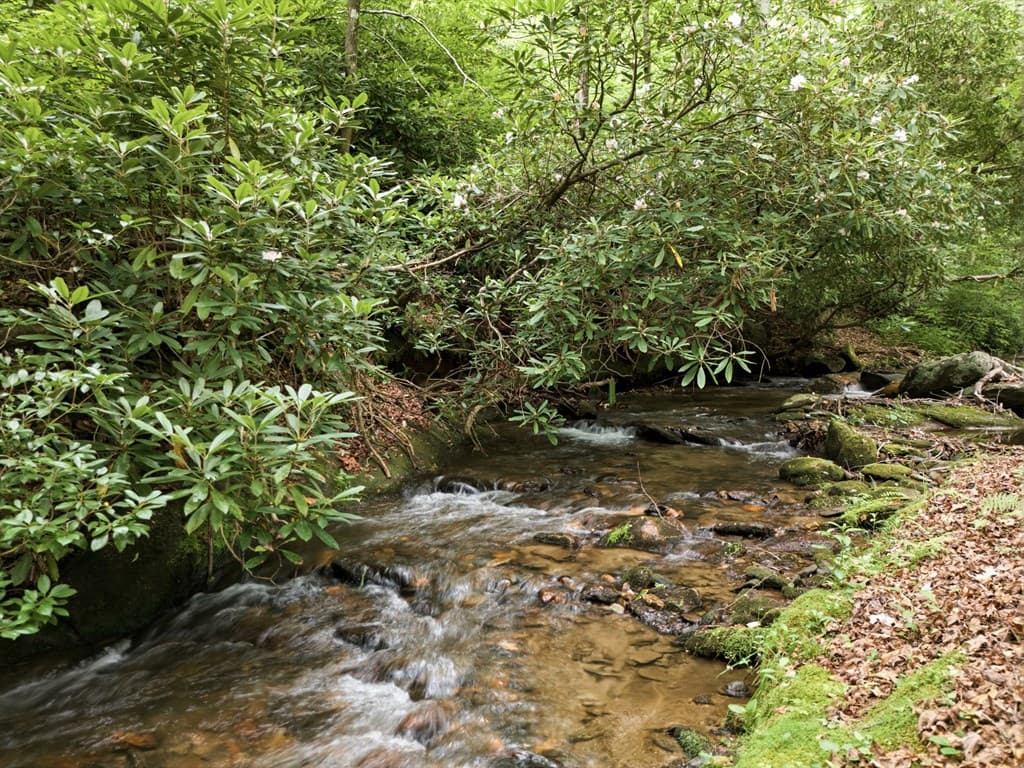 86 Pounding Mill Creek, Hayesville NC 28904 - Photo