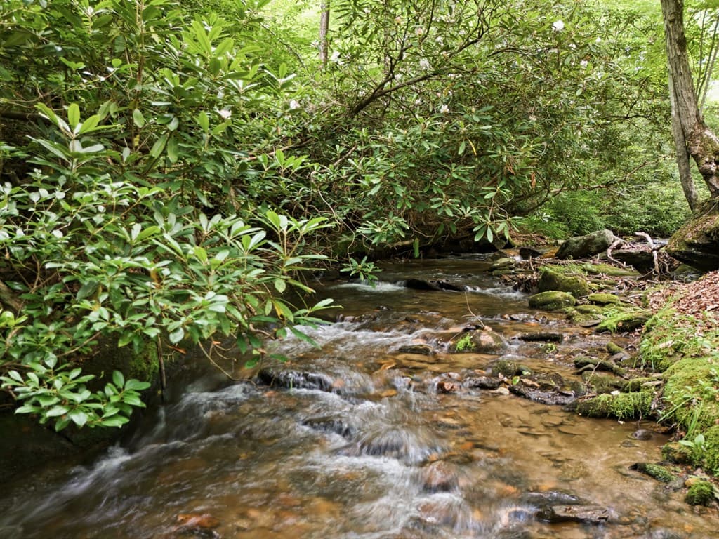 86 Pounding Mill Creek, Hayesville NC 28904 - Photo