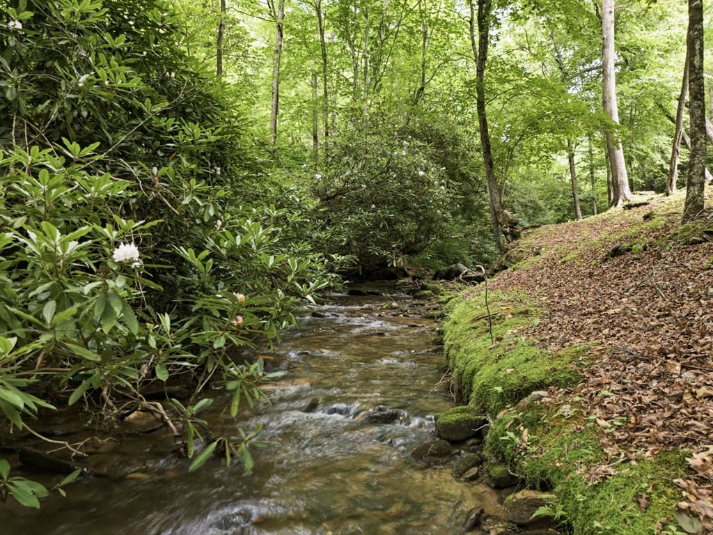 86 Pounding Mill Creek, Hayesville NC 28904 - Photo