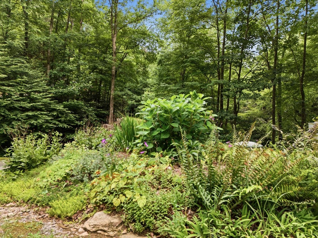86 Pounding Mill Creek, Hayesville NC 28904 - Photo