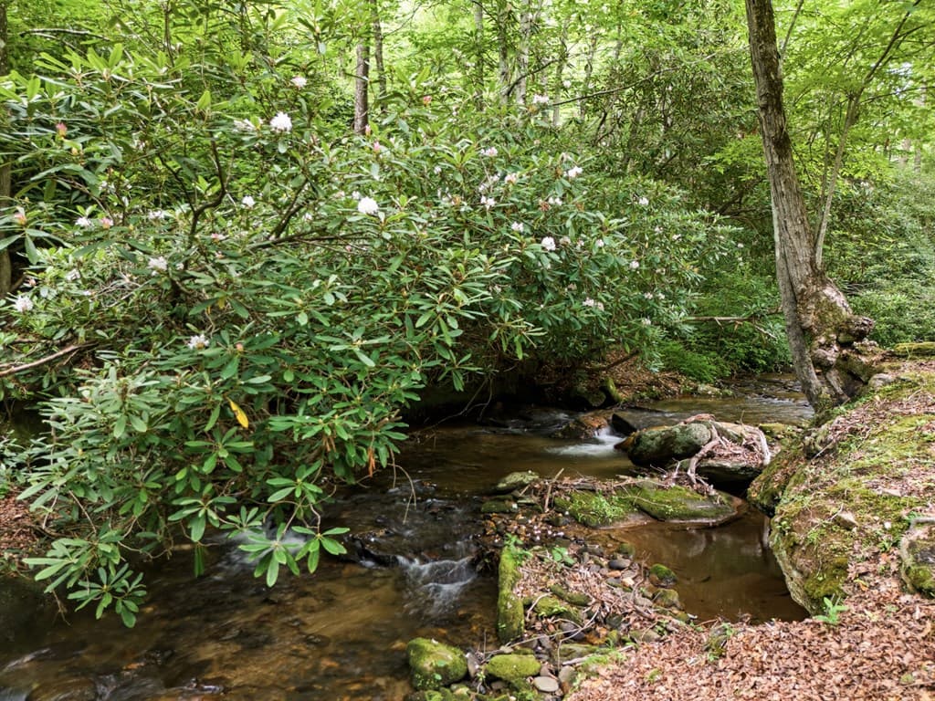 86 Pounding Mill Creek, Hayesville NC 28904 - Photo