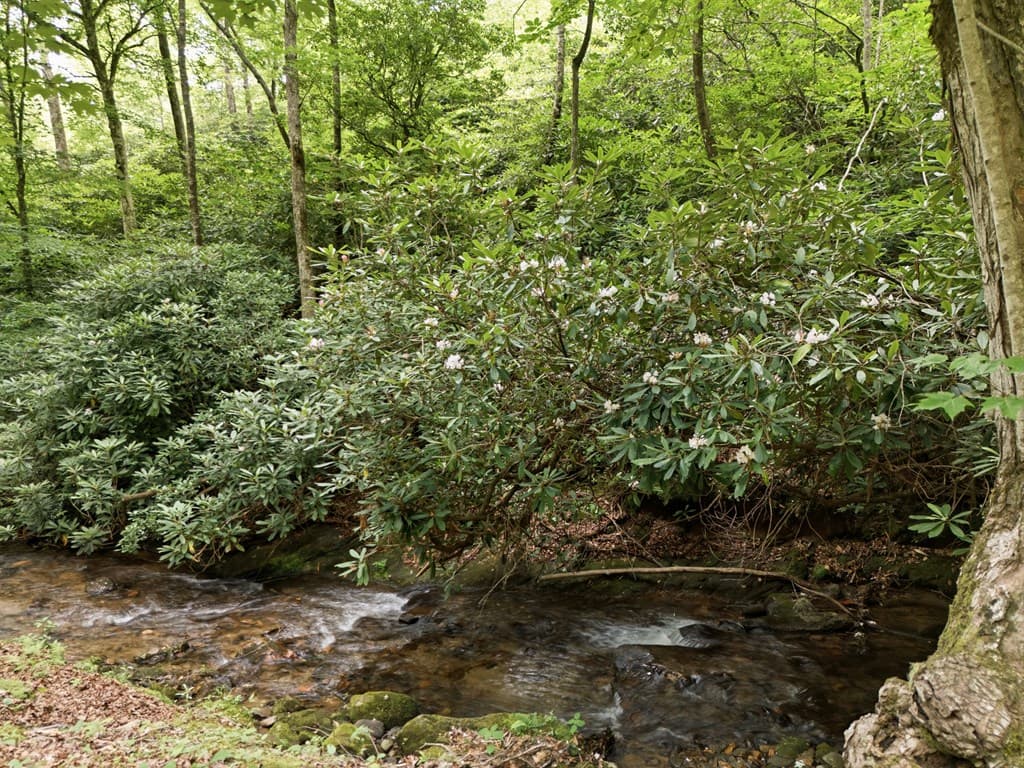 86 Pounding Mill Creek, Hayesville NC 28904 - Photo
