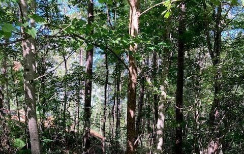Lot 140 Red Oak Trail, Ellijay GA 30540 - Primary photo
