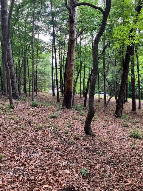 Lot 132 Red Oak Trail, Ellijay GA 30540 - Photo
