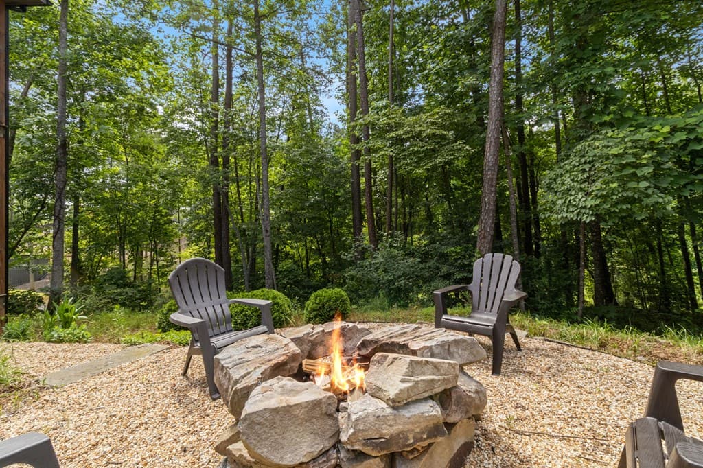 531 Sowers Road, Blue Ridge GA 30513 - Photo