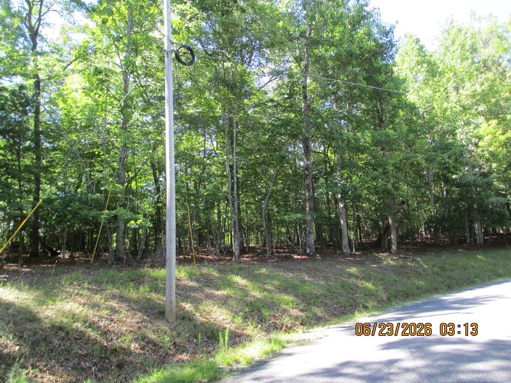 Lot 8 S Quail Cove Circle, Warne NC 28909 - Photo