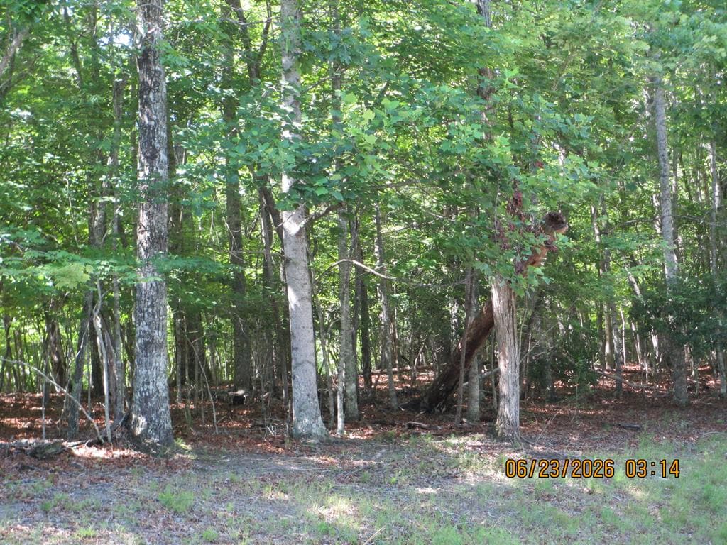 Lot 8 S Quail Cove Circle, Warne NC 28909 - Primary photo