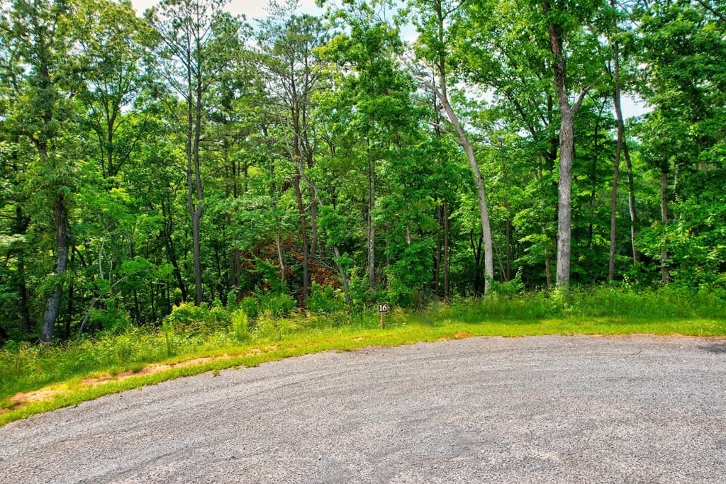 Lot 16 Lake Top Lane, Ellijay GA 30540 - Photo