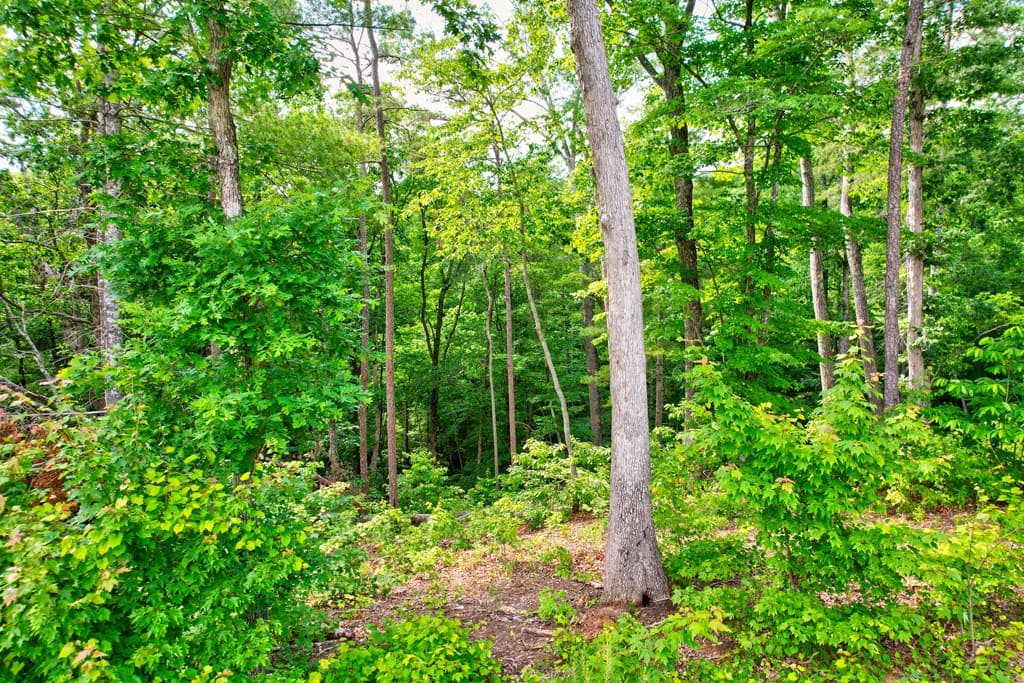 Lot 16 Lake Top Lane, Ellijay GA 30540 - Photo