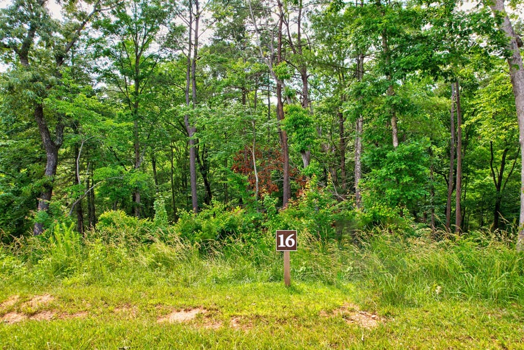 Lot 16 Lake Top Lane, Ellijay GA 30540 - Photo