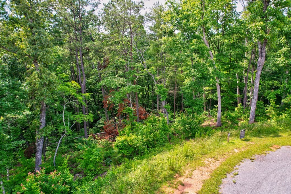 Lot 16 Lake Top Lane, Ellijay GA 30540 - Photo