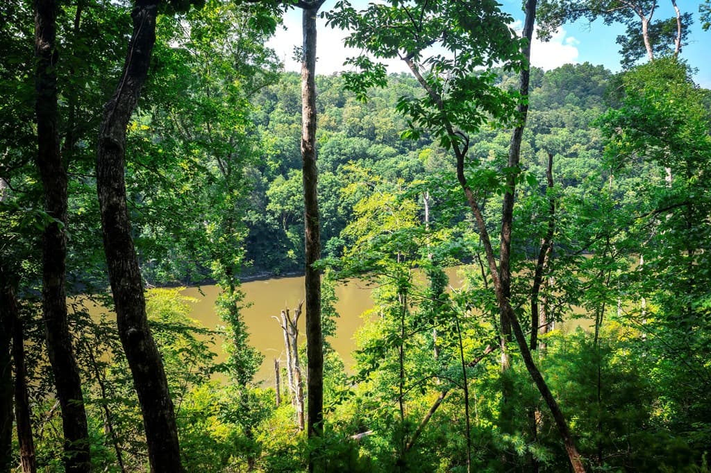 3.54AC Myna Drive, Ellijay GA 30540 - Photo