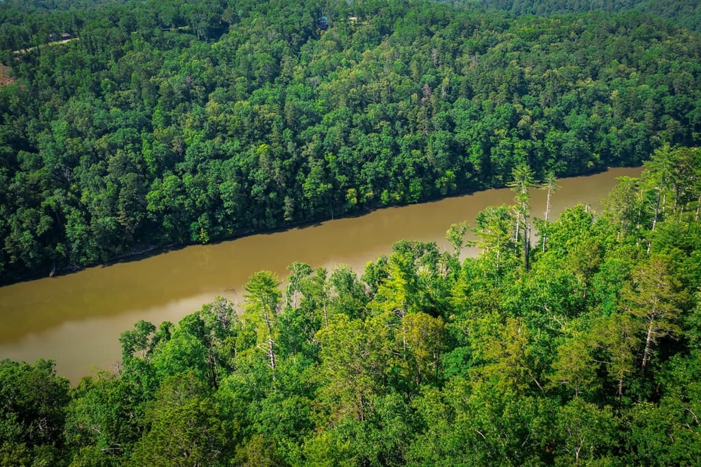 3.54AC Myna Drive, Ellijay GA 30540 - Photo