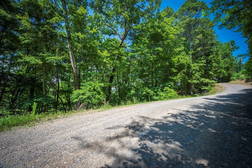 3.54AC Myna Drive, Ellijay GA 30540 - Photo