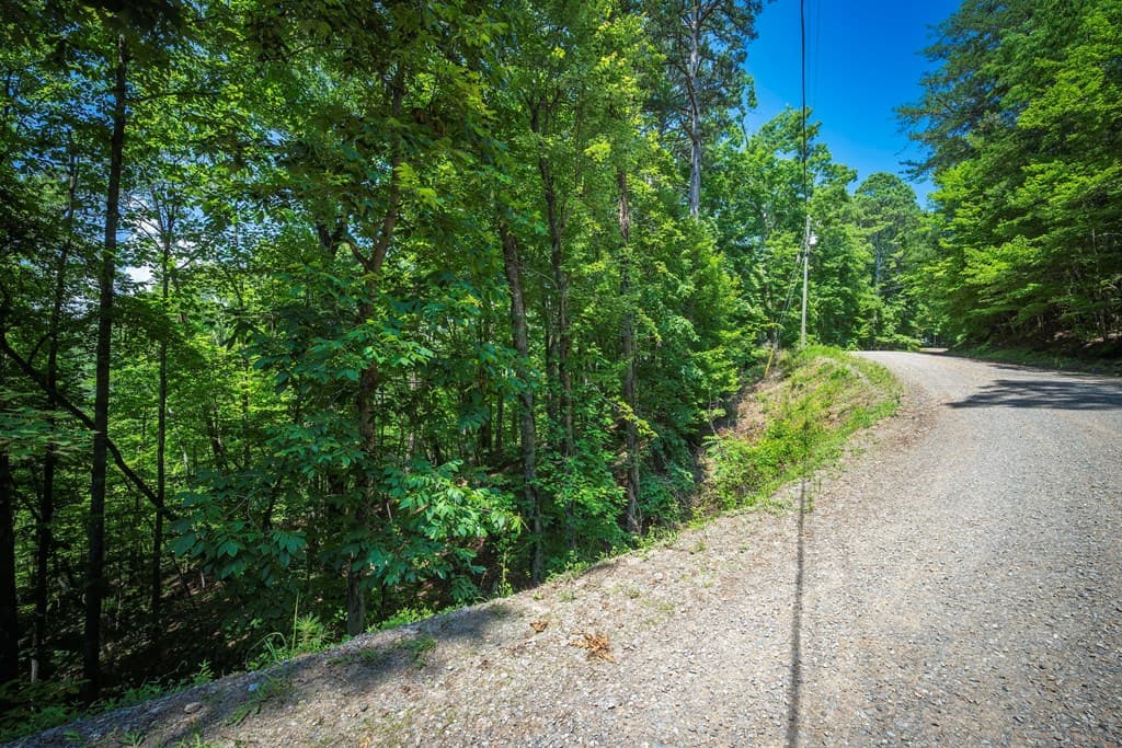 3.54AC Myna Drive, Ellijay GA 30540 - Photo