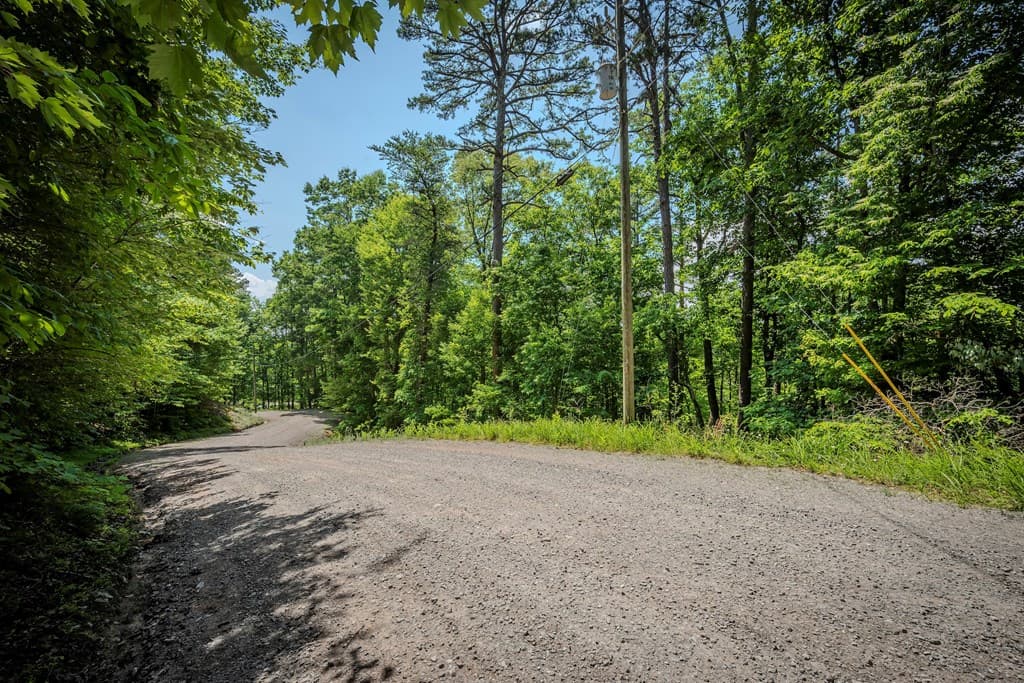3.54AC Myna Drive, Ellijay GA 30540 - Photo