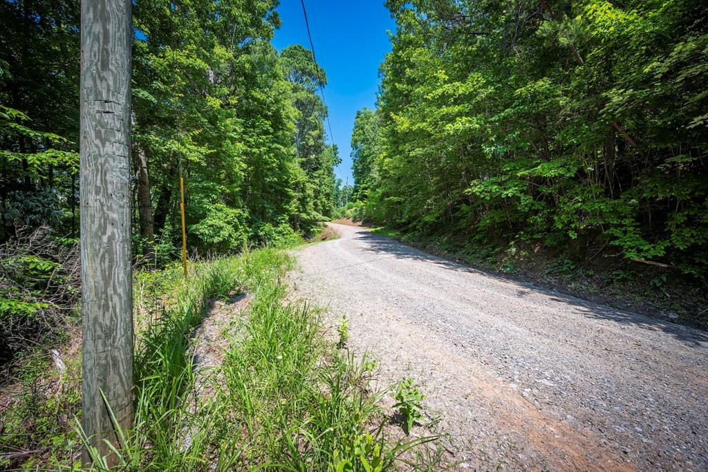 3.54AC Myna Drive, Ellijay GA 30540 - Photo