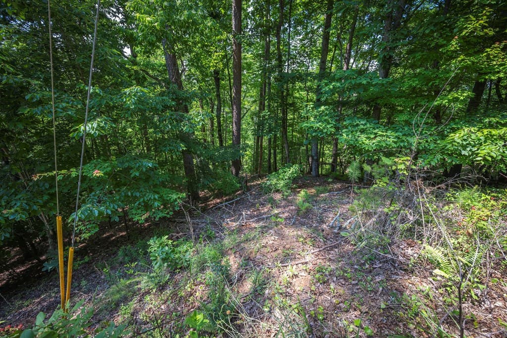 3.54AC Myna Drive, Ellijay GA 30540 - Photo
