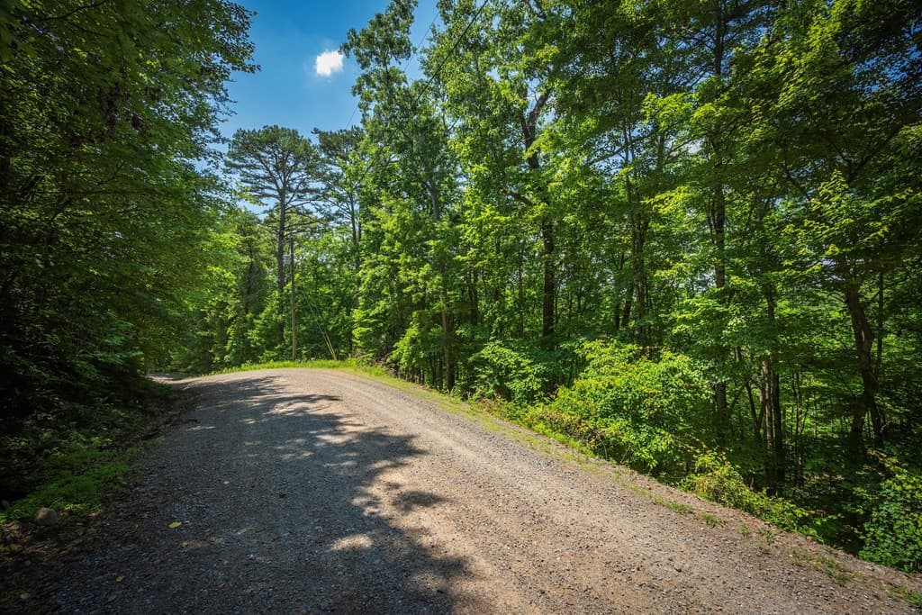 3.54AC Myna Drive, Ellijay GA 30540 - Photo