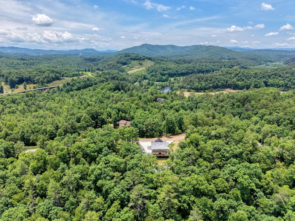 460 River Mountain Road, Murphy NC 28906 - Photo