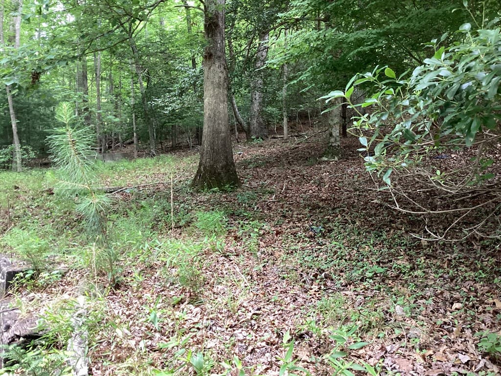 4302 Rock Creek Road, Hiawassee GA 30546 - Photo