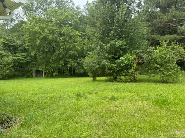 337 Burgess Road, Ellijay GA 30540 - Photo