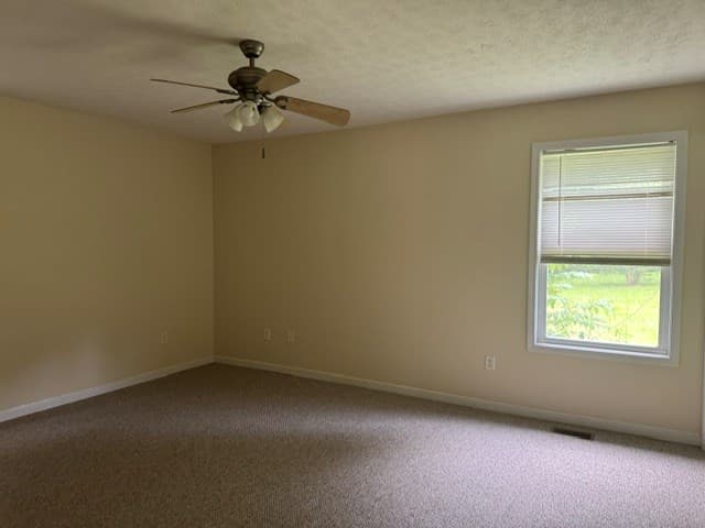 337 Burgess Road, Ellijay GA 30540 - Photo