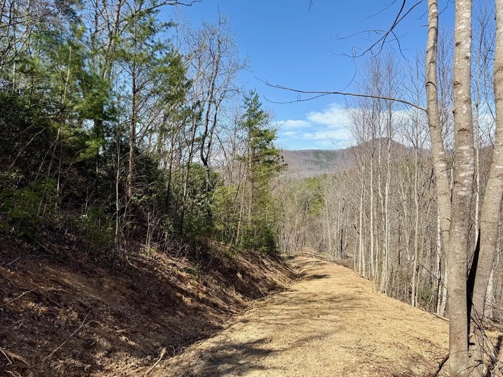 Lot 3 Wild Laurel, Brasstown NC 28902 - Photo