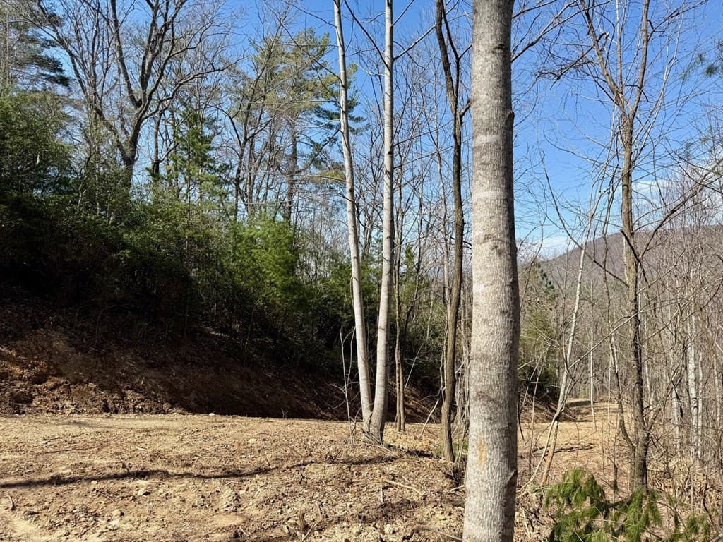 Lot 3 Wild Laurel, Brasstown NC 28902 - Photo