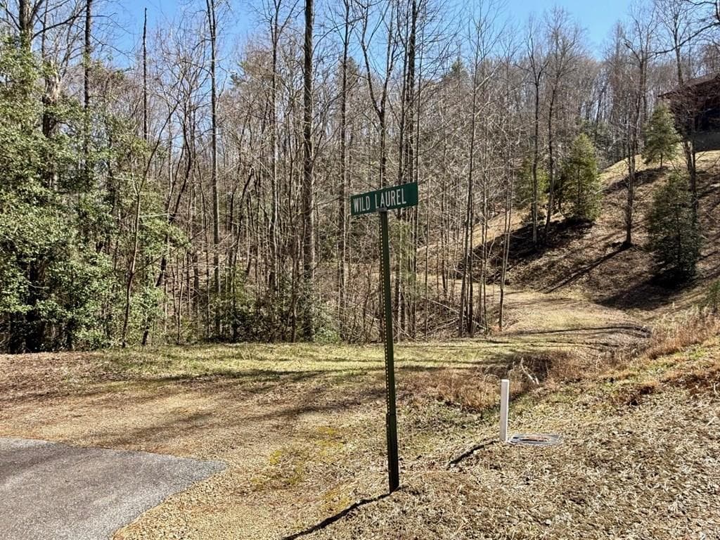 Lot 3 Wild Laurel, Brasstown NC 28902 - Primary photo