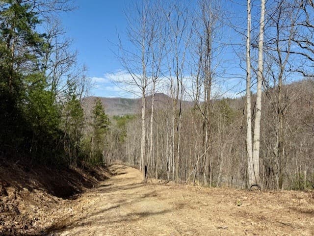Lot 3 Wild Laurel, Brasstown NC 28902 - Photo