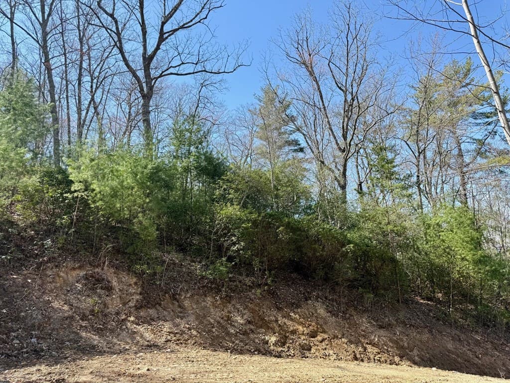 Lot 3 Wild Laurel, Brasstown NC 28902 - Photo