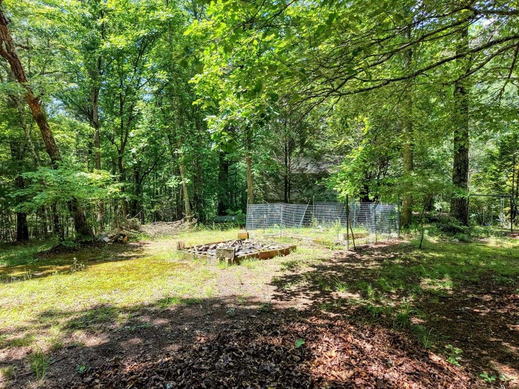 9258 Hwy 60, Suches GA 30572 - Photo
