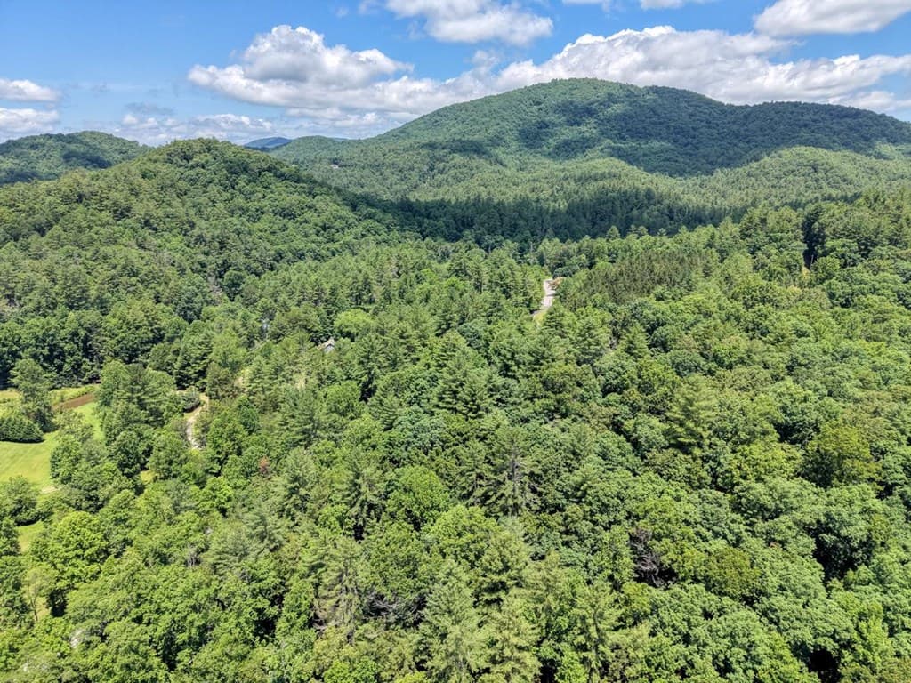 9258 Hwy 60, Suches GA 30572 - Photo