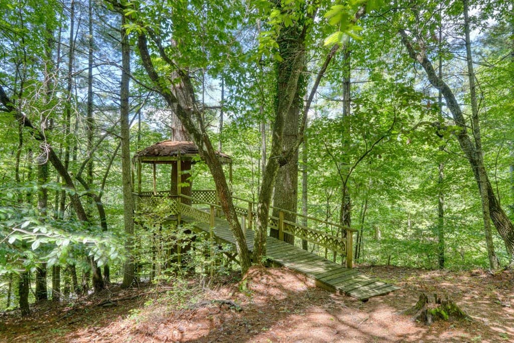 9258 Hwy 60, Suches GA 30572 - Photo
